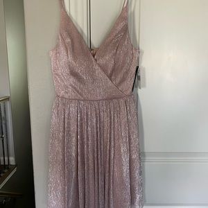 Blush & Silver V-Neck Dress